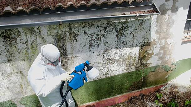 Trusted Crawl Space Mold Removal service in Sequim, WA - Cheap Mold Removal